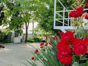 Гостевой дом Villa Soho Sochi Russia