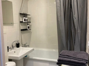 Квартира  на  Ольгинской  набережной  9