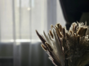 Апартаменты Живи Уютно