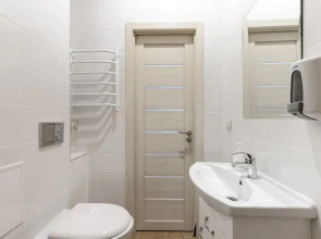 Апартаменты Букинист 233/1