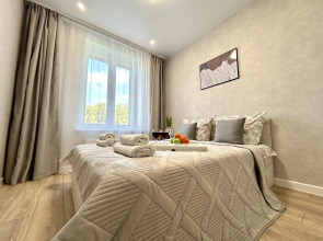 Апартаменты FSF Премиальная Двушка Мега