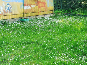 Гостевой дом Агроусадьба у Сан Саныча