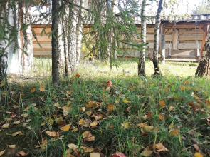 Гостевой дом Окулова Заимка