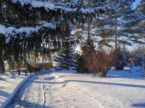 S Kaminom Sokolovo Private house