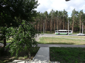 Отель Золотая рыбка