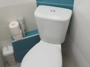 Апартаменты Лаванда на площади Ленина. Ленин в восторге!