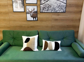 Квартира Олимпийская 75