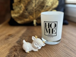 Апартаменты Уютные Стильные в Самoм Сердце Cтaрого Bыбоpгa