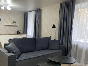 Квартира студия в центре города 50 оттенков серого