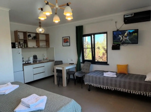 Apartments Alycha