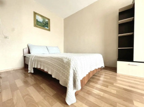 Квартира однокомнатная в центре на Дарвина