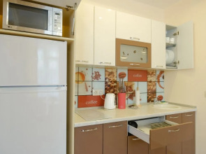 Апартаменты Петровские на Советской 108