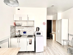 Апартаменты Магия на Ситникова