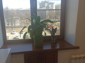 Апартаменты Двушка на Чехова 43