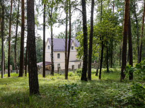Гостевой дом Лесная сказка