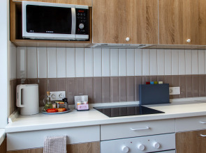 Апартаменты уютные семейные Лада в центре