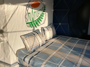 Глэмпинг Папоротник