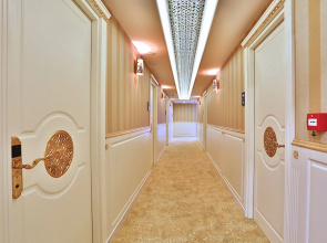 Отель Emirhan Palace
