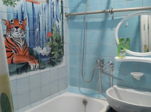 V Nizhnem Kak Doma apartments