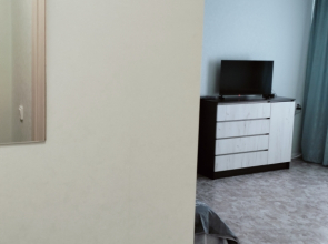 Квартира 1к Володарского 15 Центр