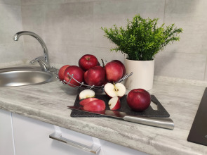 Апартаменты на Плещеева 8