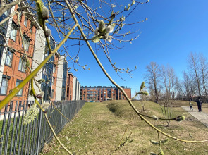 Апартаменты в ЖК Фортеция