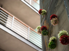 Отель Brosse Garden