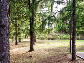 Отель Разгуляй