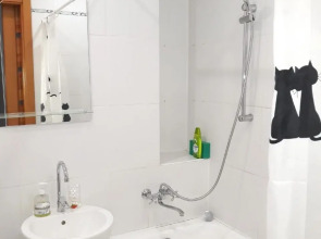 Квартира домашняя светлая двушка в центре Красноярска