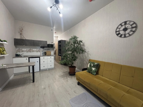 S Otdelnoy Spalney Ryadom S Pulkovskim Parkom Apartments