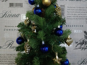 Апартаменты на улице Чавайна 17