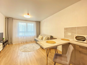 Апартаменты Apart-Comfort Однокомнатные на Лескова 44 ЖК Волга Парк