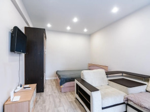 Квартира на Ленина д. 176/2