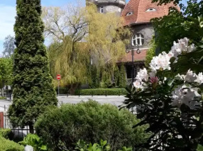 Апартаменты в Сердце Светлогорска