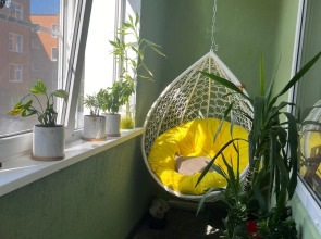 Квартира современная трехкомнатная в Великом Новгороде