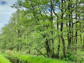 Квартира Кранц Апарт