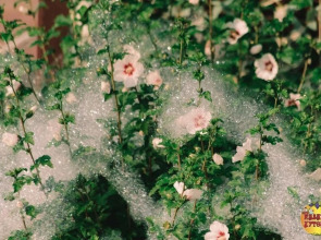 Гостевой Дом Казачий Хуторок