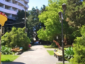 Квартира В Новом Доме Центр Адлера