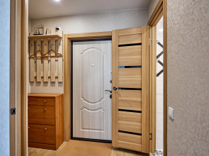 Квартира Толстой Жукова