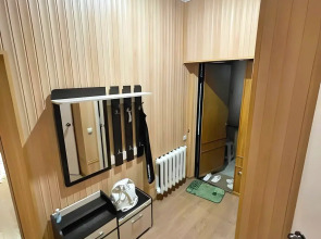 Квартира Большая однушка на Желябова