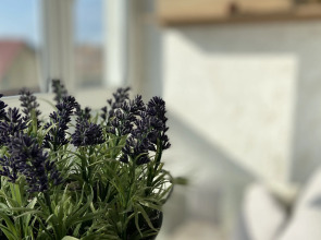 Апартаменты Семейный Комфорт