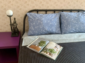 Квартира Однушка на Радонежской