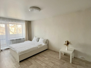 1-Komnatnaya Flat