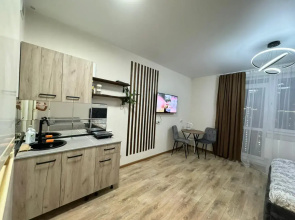 Studiya S Shikarnym Vidom Iz Okna Apartment