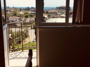 Мини-отель Мандариновый сад