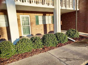 Cozy with Pool in Titusville  Apartments
