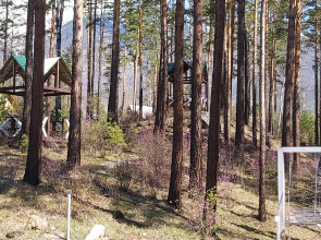 Отель Корона