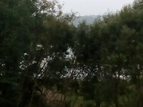 Гостевой Дом Родничок