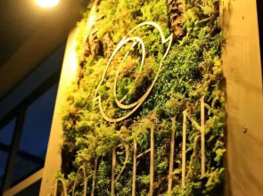 Гостиничный комплекс Dolphin Planet Hotel & SPA