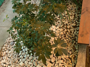 Гостевой дом Жемчужина у моря